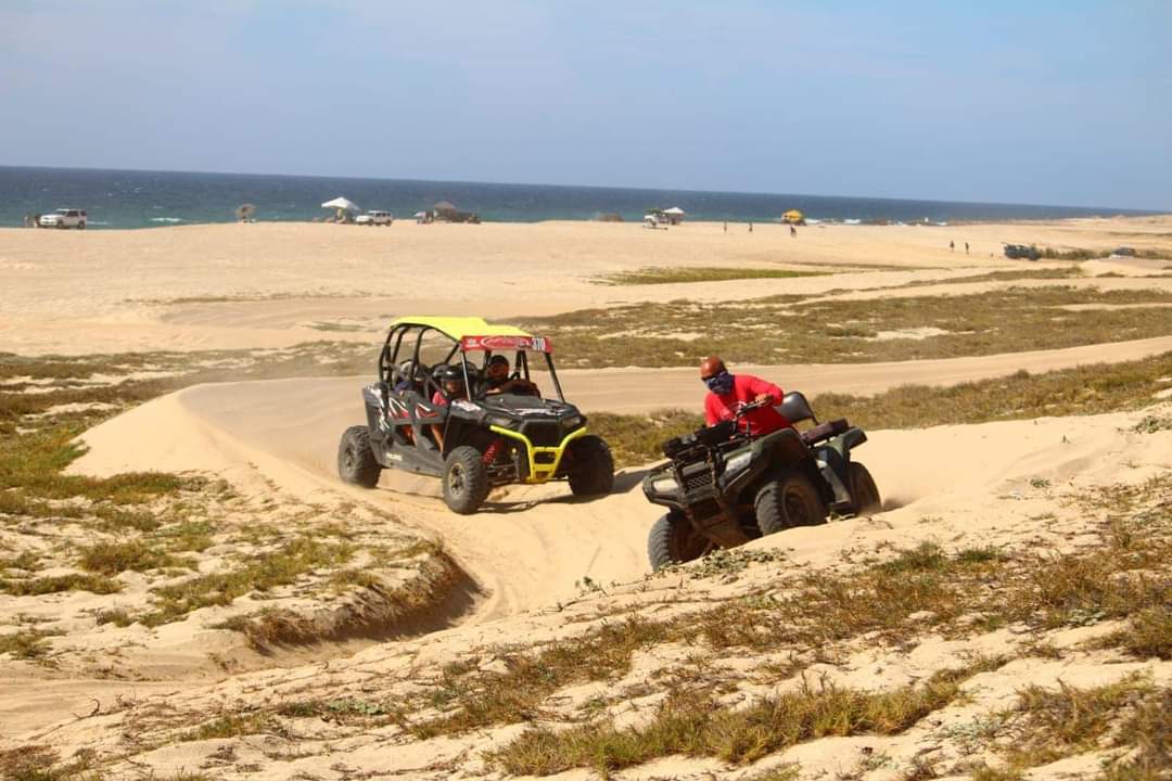 activity.data.razors.name